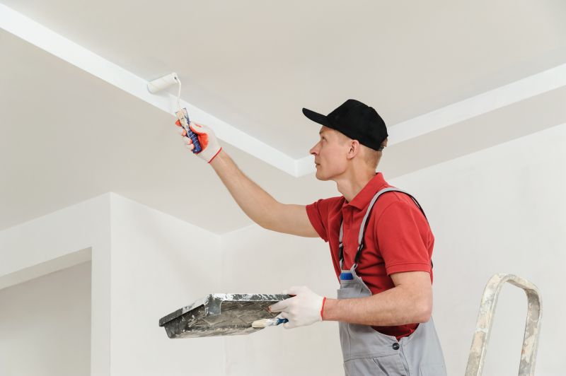 Ceiling Painting Service