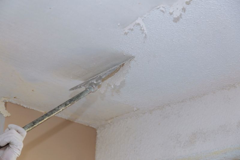 Ceiling Smoothing Service detail
