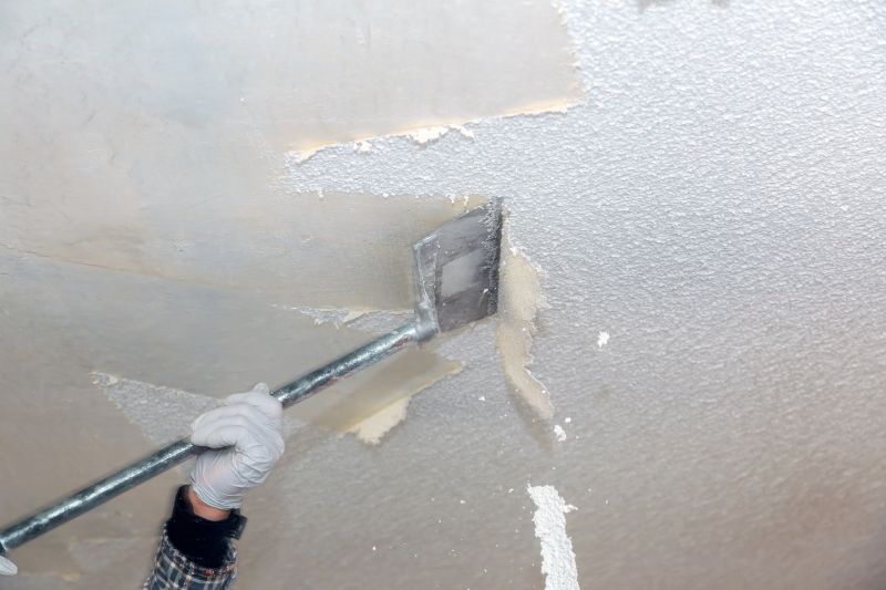 Ceiling Texture Removal detail