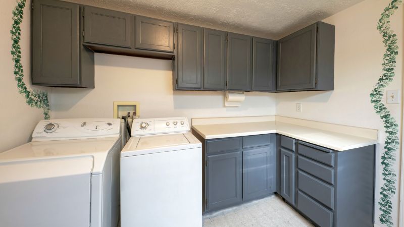 Garage Cabinets Painting